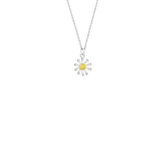 Evolve Wild Daisy Necklace