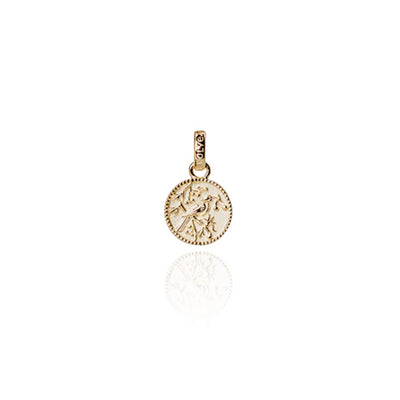 Evolve | Tui Coin | Pendant Charm | Gold