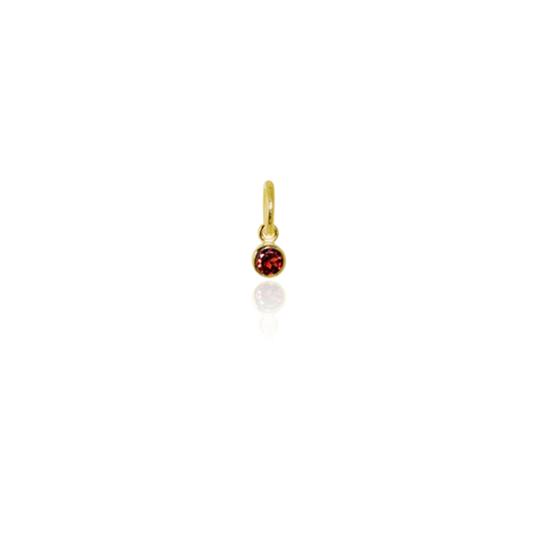 Evolve | January | Sterling | Gold | Garnet | Pendant Charm