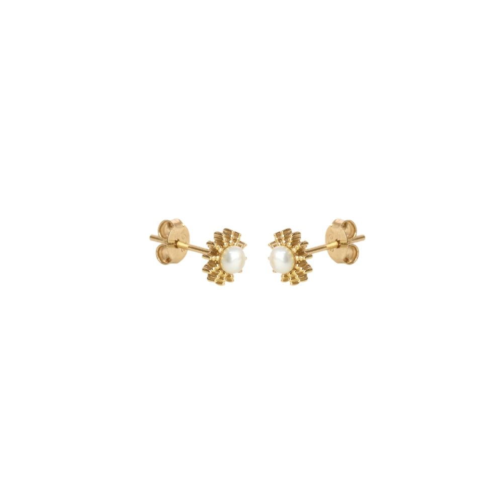 Evolve My Sunshine (Loving) Gold Plated Earrings