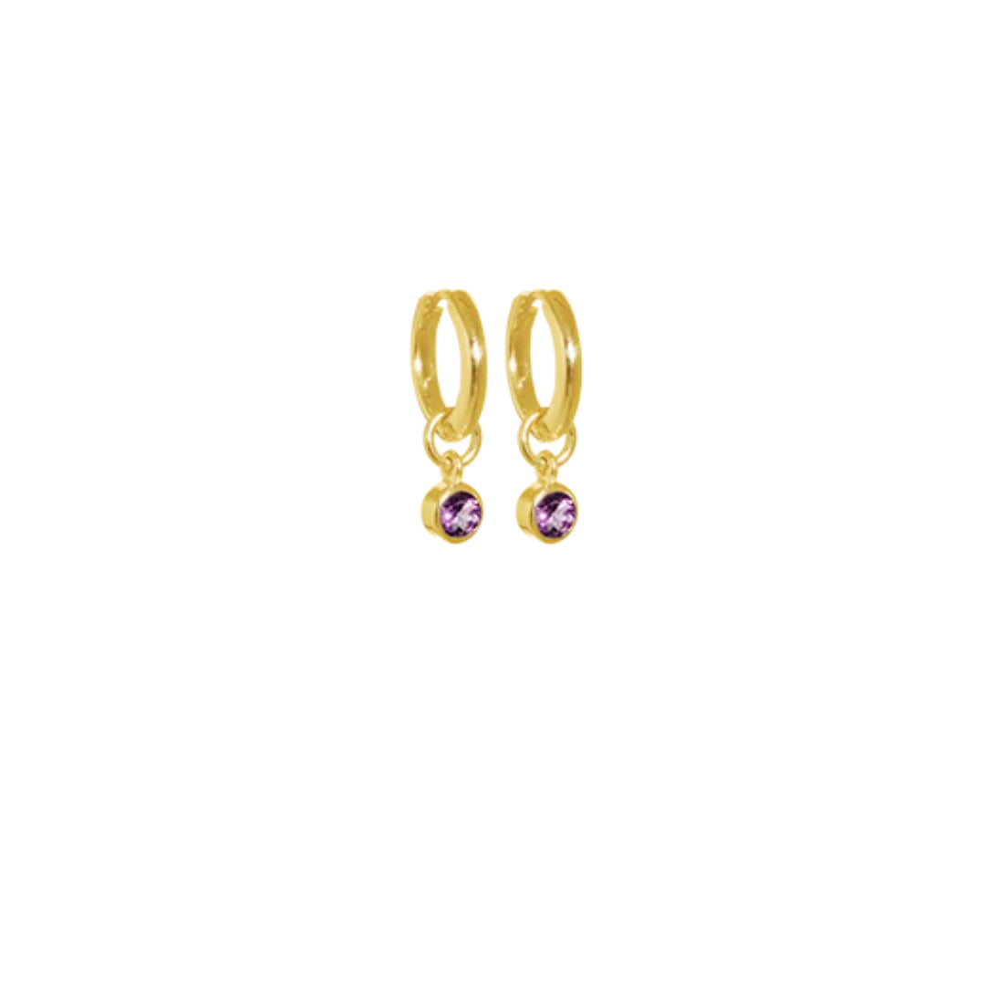 Evolve | February | Huggies | Gold | Amethyst Earrings