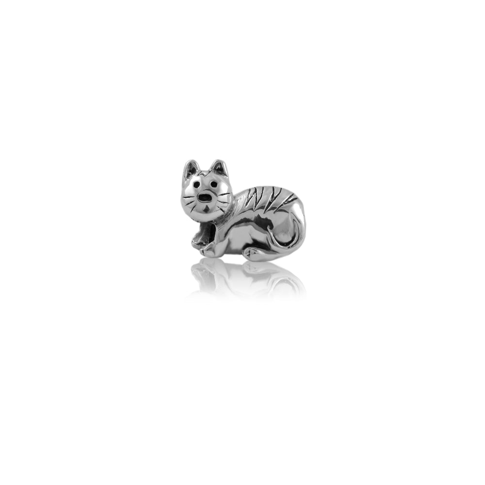 Evolve Kitty Cat Charm