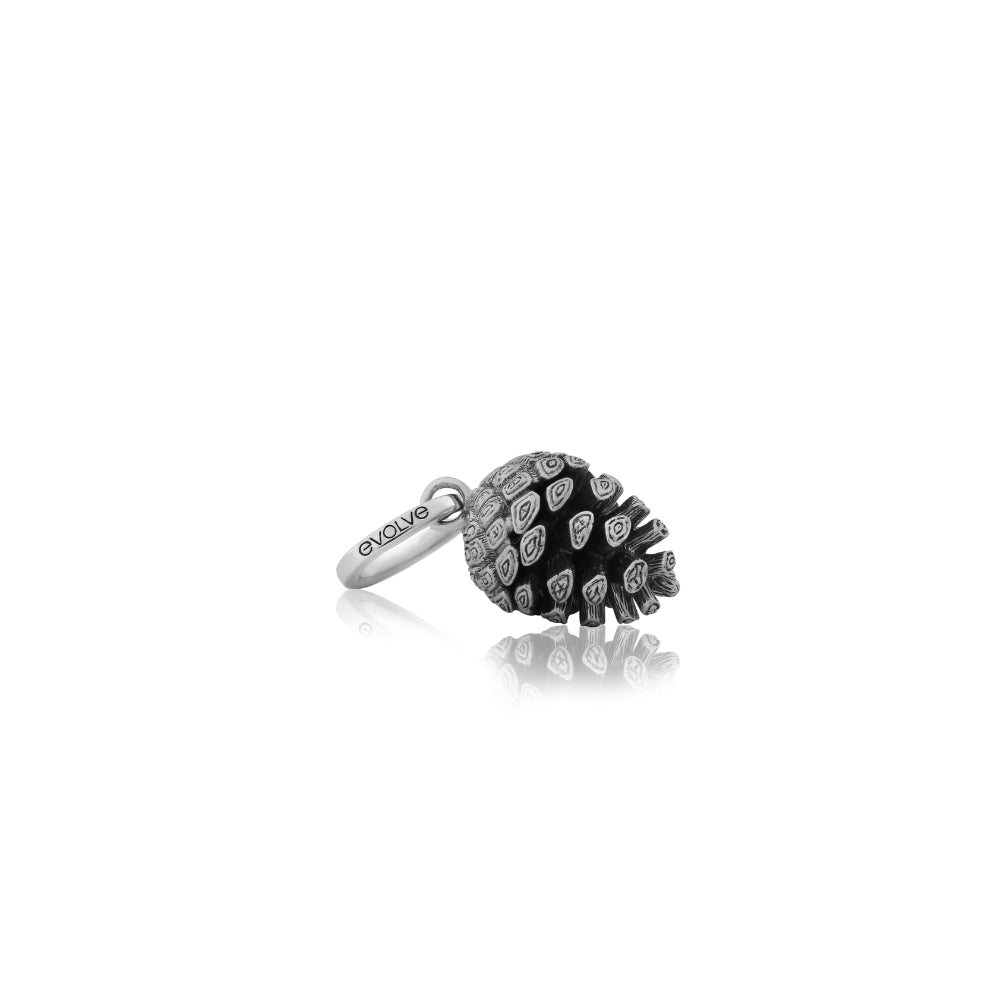 Evolve NZ Pine Cone (Independence & Intuition) Charm