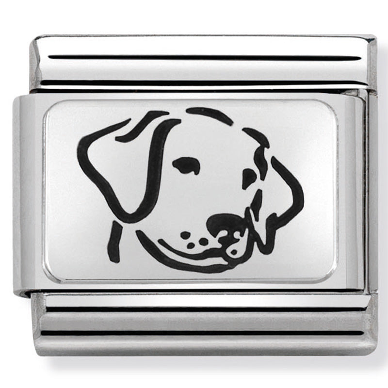 Nomination | Dog in Silver