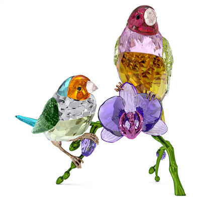 Swarovski Idyllia SCS Annual Edition 2024 Gouldian Finches