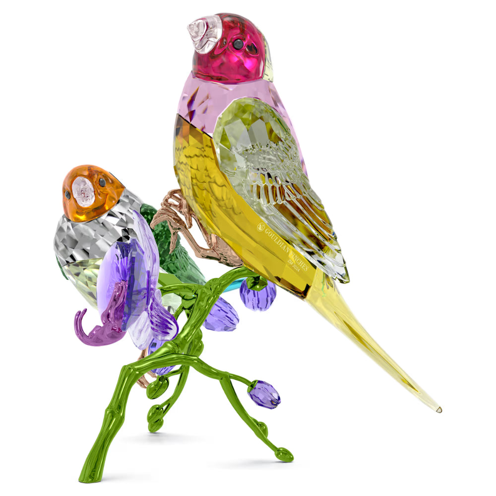 Swarovski Idyllia SCS Annual Edition 2024 Gouldian Finches