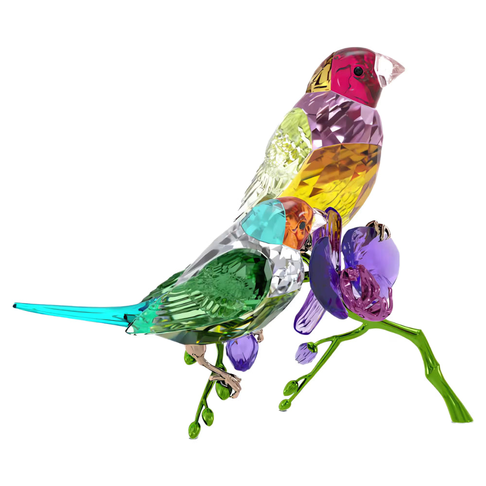 Swarovski Idyllia SCS Annual Edition 2024 Gouldian Finches