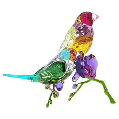 Swarovski Idyllia SCS Annual Edition 2024 Gouldian Finches