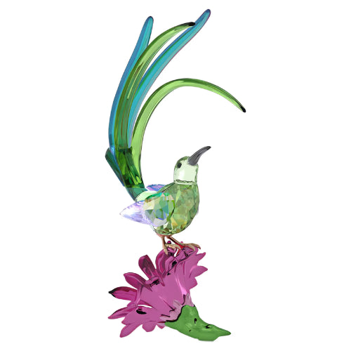 Swarovski Idyllia Sugarbird and Cactus Flower