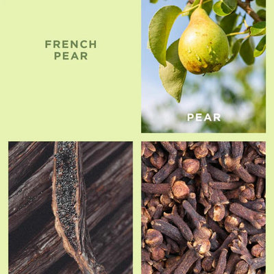 ECOYA French Pear Reed Diffuser