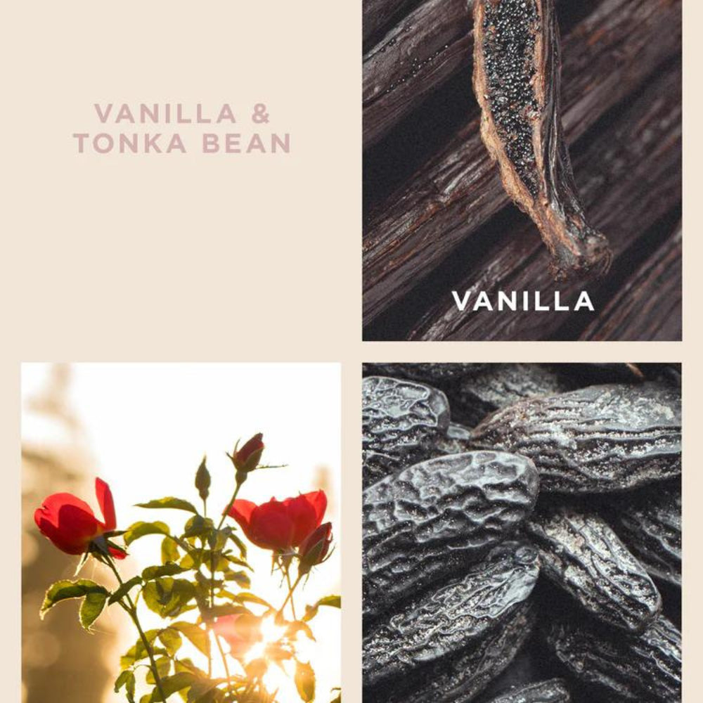 ECOYA Vanilla & Tonka Bean Reed Diffuser